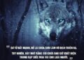 Châm ngôn của loài sói