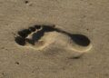 Footprint là gì