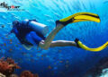 Scuba diving là gì