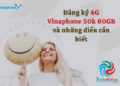 sim 4g vinaphone 60gb/tháng 50k