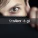 Stalker là gì