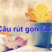 Thế nào là rút gọn câu